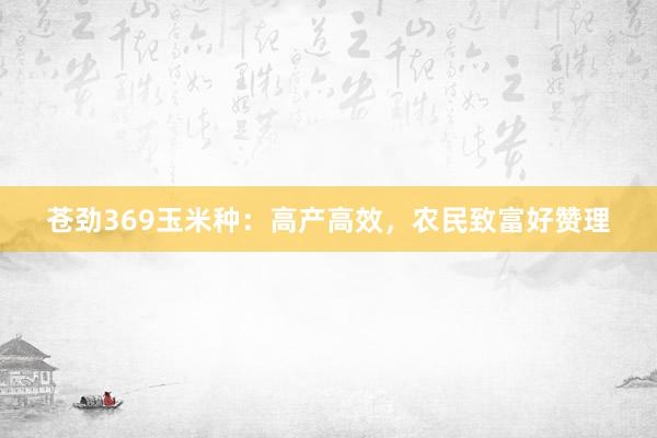 苍劲369玉米种：高产高效，农民致富好赞理