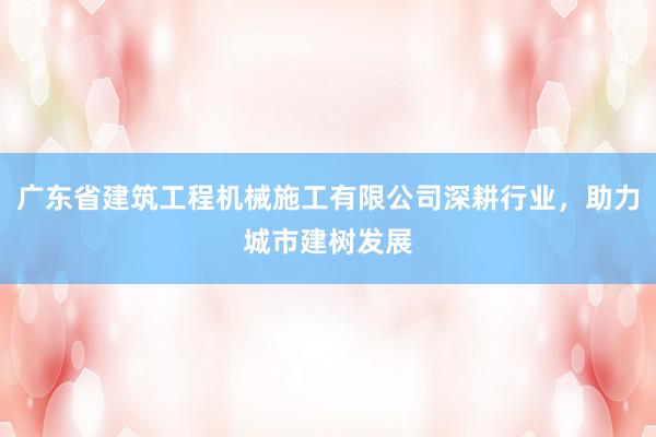 广东省建筑工程机械施工有限公司深耕行业，助力城市建树发展